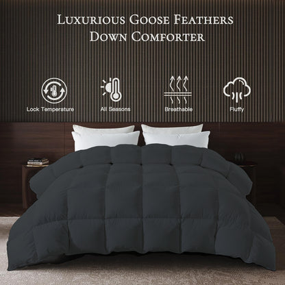 BedTreat Goose Feather Down Comforter, Luxury Hotel Bedding Comforter All Season Duvet Insert, Medium Warmth 100% Cotton Gray Cover with Corner Tabs
