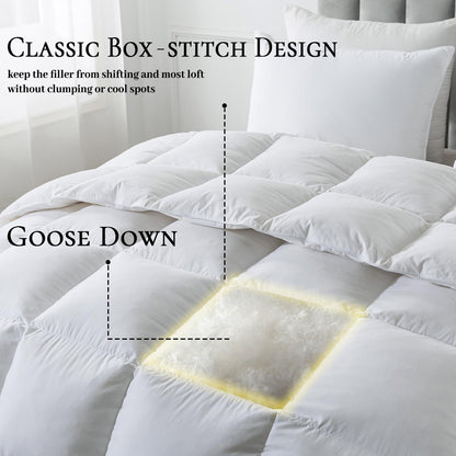 BedTreat Goose Feather Down Comforter , Luxury Hotel Bedding Comforter All Season Duvet Insert, Medium Warmth 100% Cotton Cover with Corner Tabs