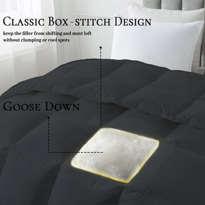 BedTreat Goose Feather Down Comforter, Luxury Hotel Bedding Comforter All Season Duvet Insert, Medium Warmth 100% Cotton Gray Cover with Corner Tabs