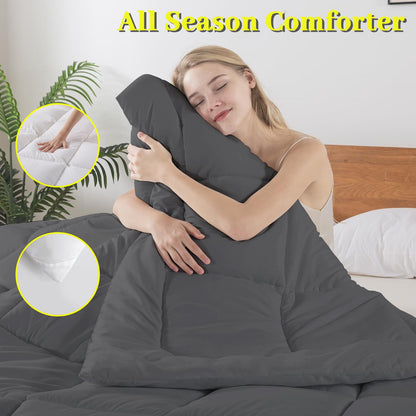 BedTreat Down Alternative Comforter with Corner Tabs - All Season Quilted 240 GSM Grey Comforter, Machine Washable Microfiber Bedding