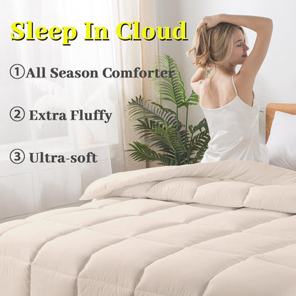 BedTreat Down Alternative Comforter with Corner Tabs - All Season Quilted 240 GSM Sand Dollar Comforter, Machine Washable Microfiber Bedding